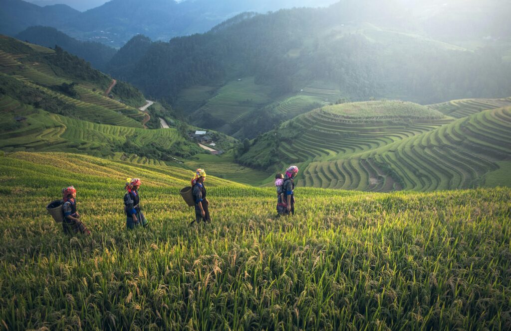 cummunication gaps between farmers and other stakeholders